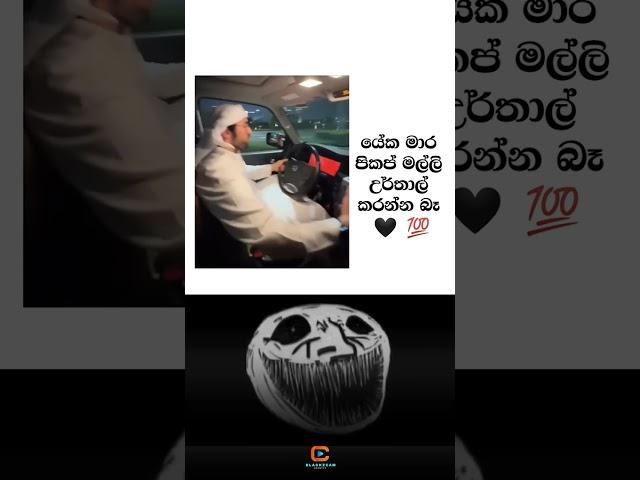 මේව උරතල් කරන්න බේ සගෝ | POWER OF NISSAN PETROL #trending #viral #fyp #srilanka #carrace #slcar #bmw