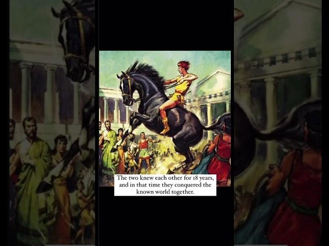 Alexander and Bucephalus #history #educational #story #education #alexander #greece #ancienthistory