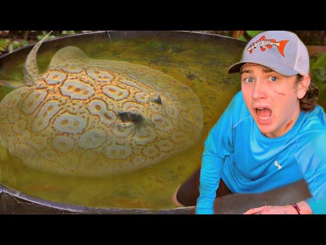 I Found an Alien in My Pond!