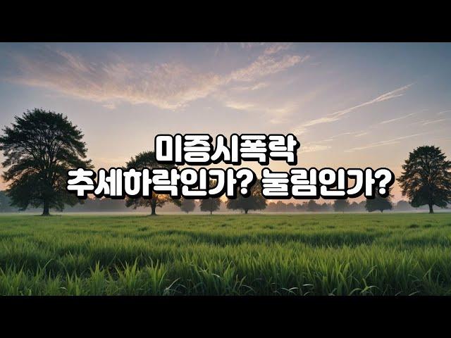 미증시폭락 추세하락인가? 눌림인가?