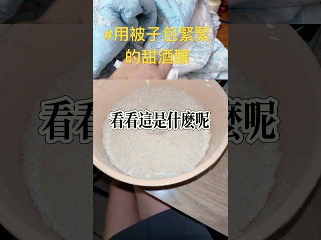 #chill #台灣媳婦 #台灣 #甜酒釀#陸配在台灣  女兒說要嘗嘗、葡萄味？