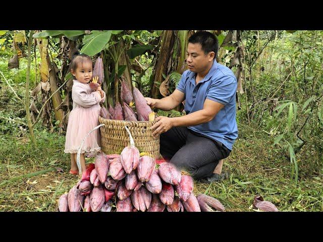 Harvesting wild banana flowers and bring them to the market sell-Cooking, banana flowers salad