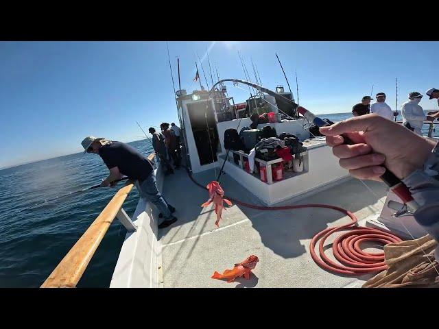 San Diego fishing charter boat trip (Merry Christmas!!!)