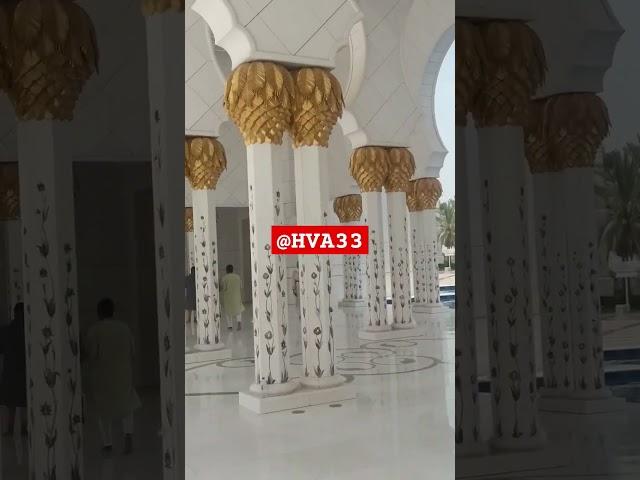 New Sheikh Zayed masjid viral #2024 @HVA33 #new ️️️ short #2024 #shortvideo