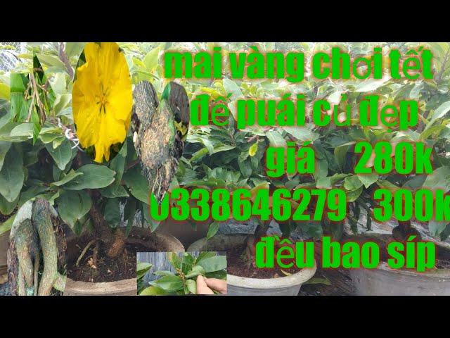 (het hang)mai vang gia re mai giao thu duc de wai choi tet gia re (13-12) dt (0338646279)