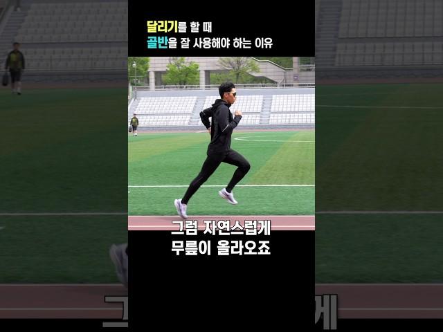 달리기는 골반을 잘 사용해야합니다 - 러닝 모빌리티 운동 9가지