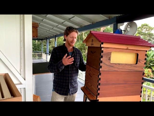 10 Common mistakes new beekeepers make live Q&A