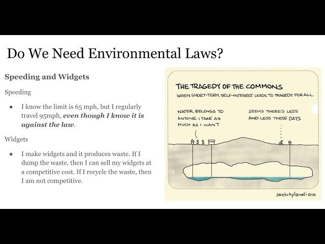 Environmental Law: Needs and Sources