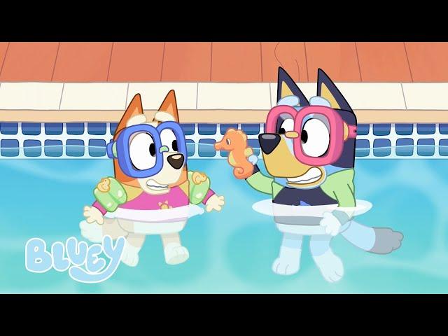 Las aventuras soleadas de Bluey ️  | Episodios completos | Bluey  Español Canal Oficial 