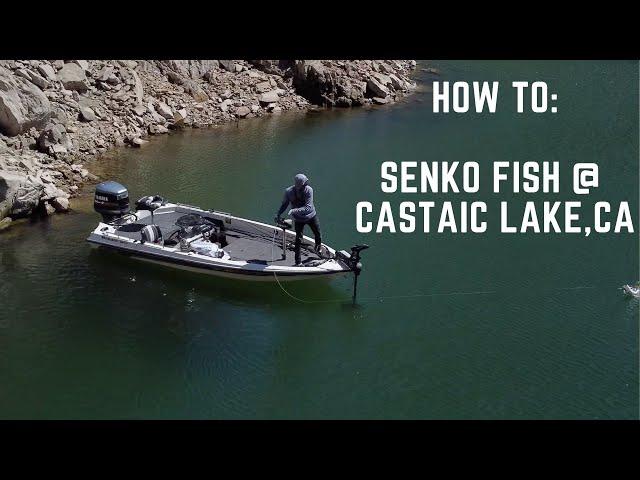 How to : Senko Fish @ Castaic Lake, CA