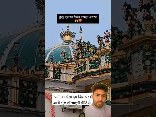 Huzoor Sultan Syed Makhdoom Ashraf #viralpost #kichauchasharif #trendingshorts #vlog #shortvideo