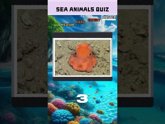 Can you guess these sea animals? #quiz  #trivia #generalknowledge #geographyquiz #flag #flagquiz