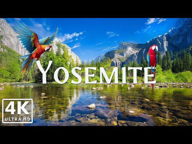 Explore Yosemite in 4K | Stunning Nature Footage & Peaceful Music | Ultra HD