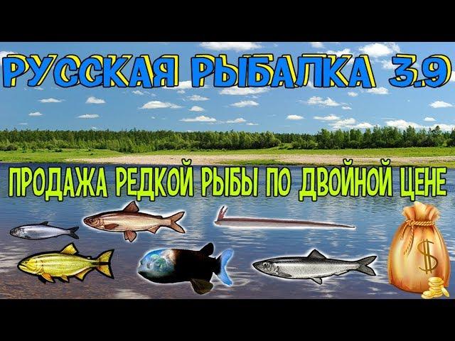 Русская рыбалка 3.9. Продажа редких по двойной цене!    #рр3 #рр3.9 # русскаярыбалка3.99