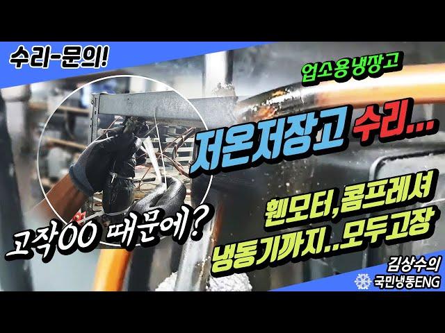 고작 00때문에 저온저장고 수리 휀모터 콤프레셔 냉동기 싹다 고장..ㅠㅠ