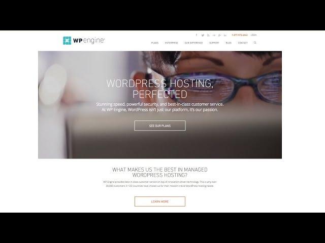 WPEngine Review