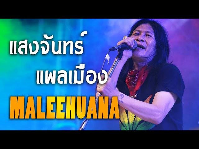 รวมฮิต มาลีฮวนน่า#ฟังยาวต่อเนื่อง | เพื่อชีวิต | มาลีฮวนน่า#เพลงเก่าเพราะๆ(ส่วนที่ 1)มาลีฮวนน่า