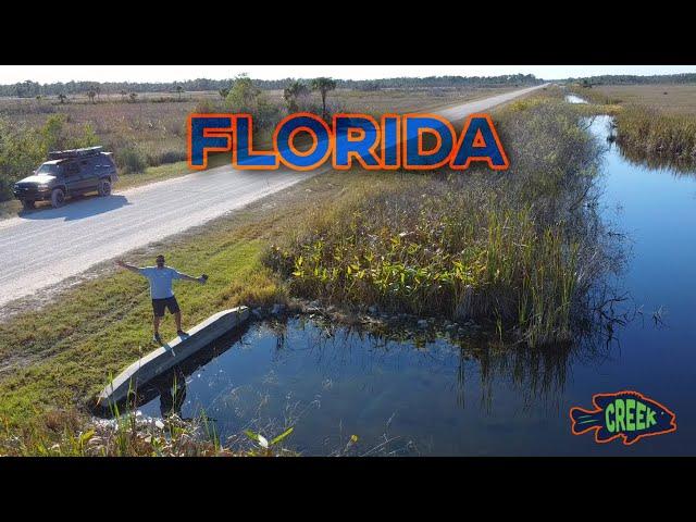 Ditch Fishing and Exploring Roadside Swamps