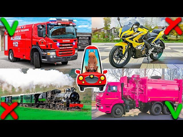 Cars sound. Transport and equipment for children. Educational video for kids about cars