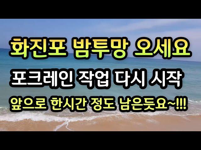 #화진포기수역갯터짐포크레인작업속보#바다투망실황영상#최경철원투형님실황 이제 한시간 정도 남았습니다.