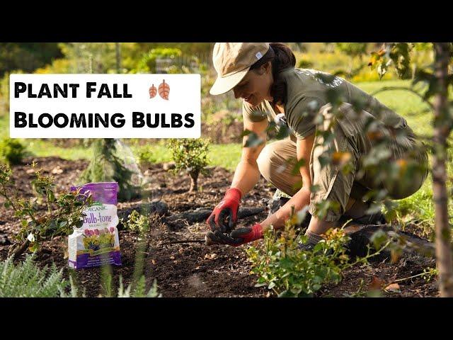 Planting Fall Blooming Bulbs || Flock Finger Lakes