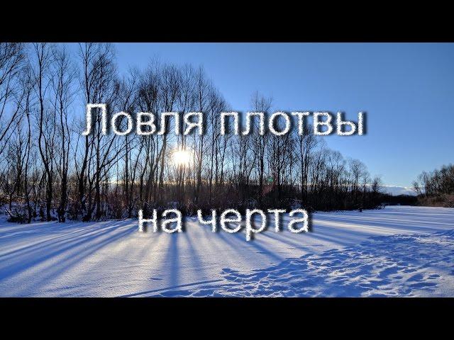 Рыбалка со stigan'ом - Ловля плотвы на чертика