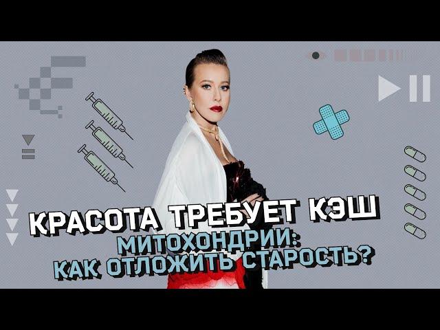 Как митохондрии связаны со здоровьем и продолжительностью жизни? Как молодеть, затаив дыхание?