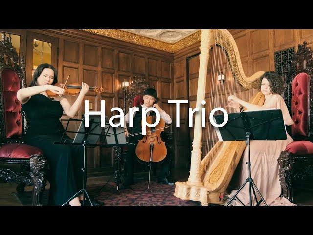 Romantic Wedding Music for Violin, Cello, and Harp trio | Romantic Pop Cover