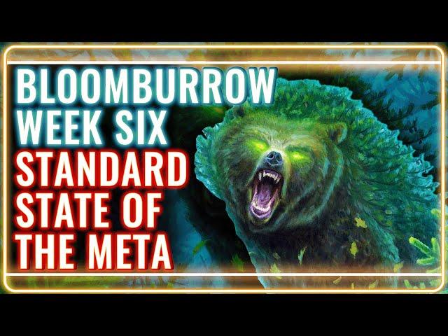 MTG Standard Decks Tier List for Bloomburrow Week 6 | MTG Rebellion