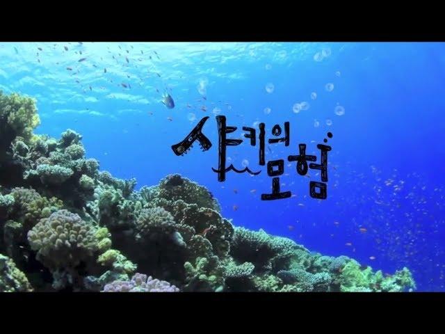 [동심연구소키즈TV]구연동화_샤키의모험