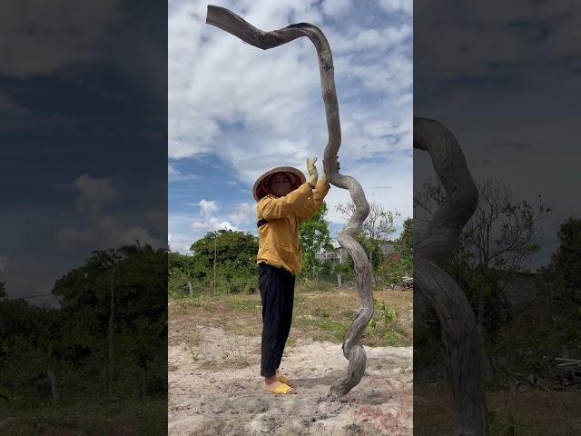 Cây treo đèn gỗ hương tinh lõi Sđt 0379893927