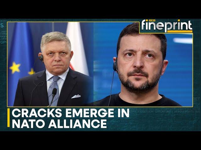 Russia-Ukraine War | Zelensky: Slovak PM Helping Putin | World News | WION Fineprint