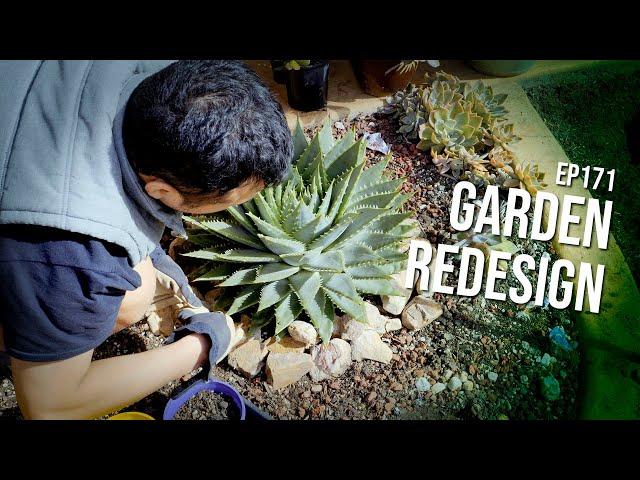 #171 Refreshing my succulent garden bed