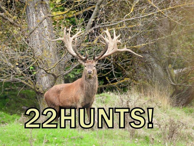 22HUNTS New Zealand Red Stag Hunting with BJ Holdsworth and Amplehunting .