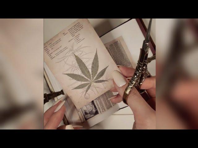 ASMR | 빈티지 다이어리 꾸미기 : Franc Journal | #shorts #hwaufranc