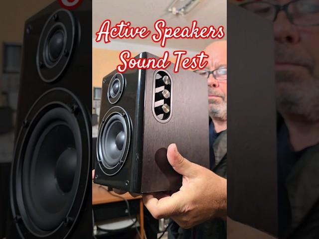 Swan D1010MKII Powered Active Speaker System - Swan Speakers Sound Test @Angelicaaudio