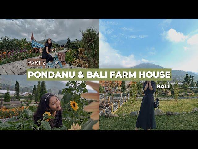 PART 2 - Liburan ke Pondanu dan Bali Farm House Bedugul Bali