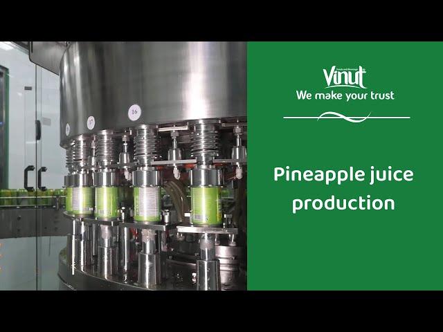 Vinut | Pineapple juice production process