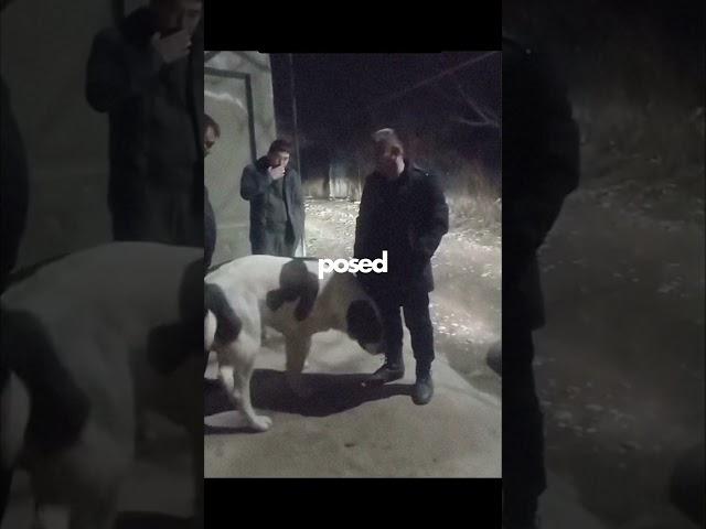 Never Put Your Hand Over An Unknown Dog!