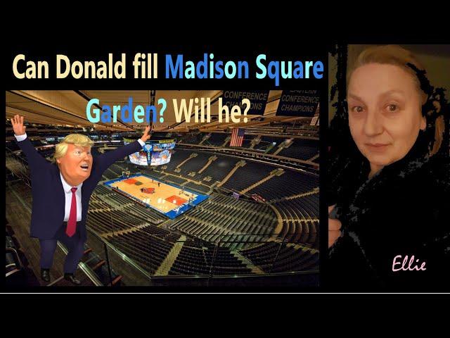 Donald rally in NYC. What could possibly go wrong?  LOL Plus, November sentencing, and why be MAGA?