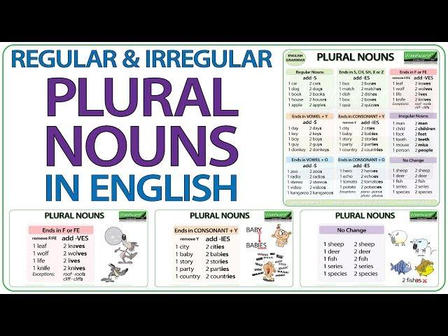 Plural Nouns in English | Regular & Irregular Plural Nouns | Plurals Spelling