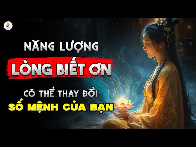 Càng Biết Ơn, Càng Giàu Có: Làm Thế Nào Để Nâng Cao Năng Lượng Của Lòng Biết Ơn? Sự Thật Ít Ai Biết