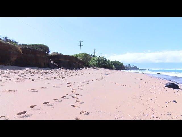 High surf reveals apparent human remains at a Maui Beach