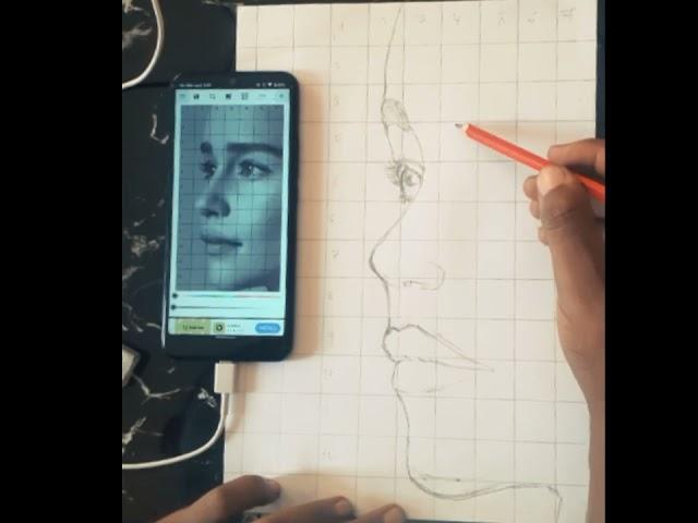 How to draw facial proportions accurately using grid method step by step,,,@SketchSage99