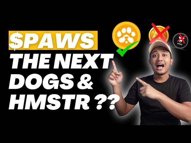 FARMING $PAWS ON TON ECOSYSTEM STEP BY STEP TUTORIAL