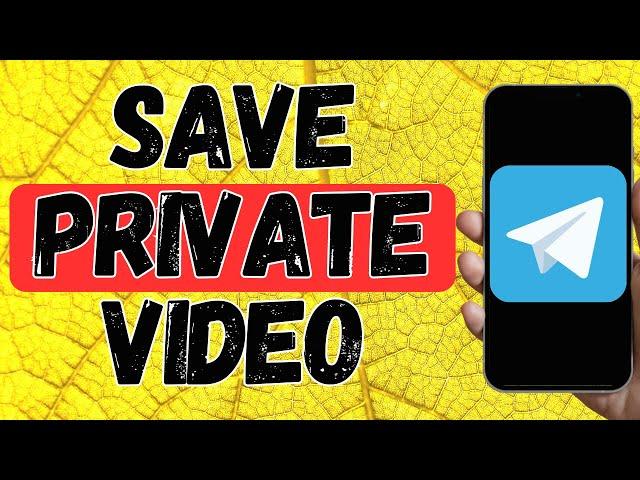 Can I Save Private Telegram Video In Phone Gallery? IOS/ANDROID