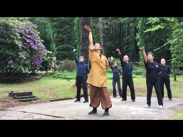 易筋經 · Yi Jin Jing (Muscle Tendon Change Classic) Qi Gong