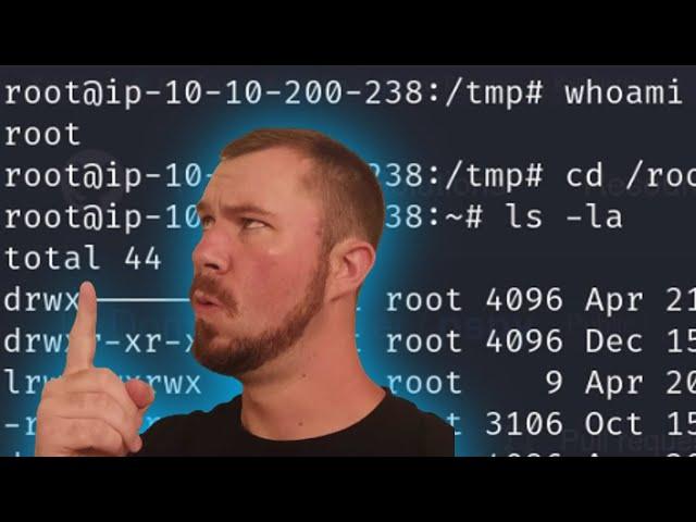 Sync - Detailed Walkthrough - (Vulnlab!)