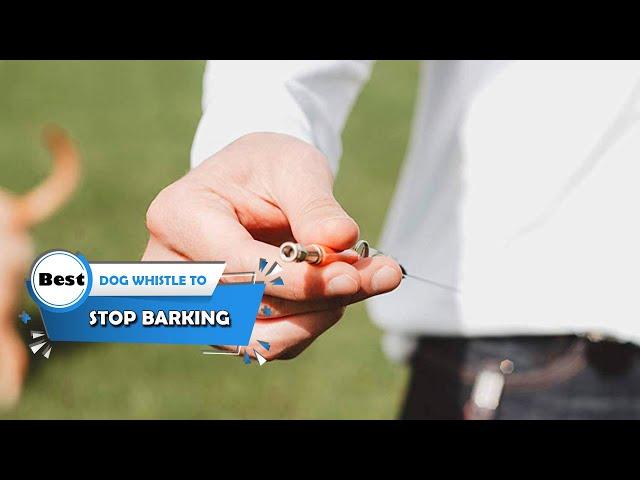 Top 5 Best Dog Whistles to Stop Barking [Review 2023] - Training Whistle/Dog Training Whistle