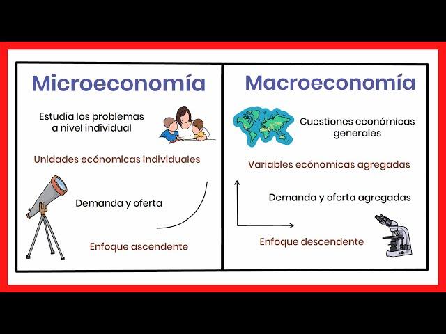 MACROECONOMICS and MICROECONOMICS | Differences and relationship